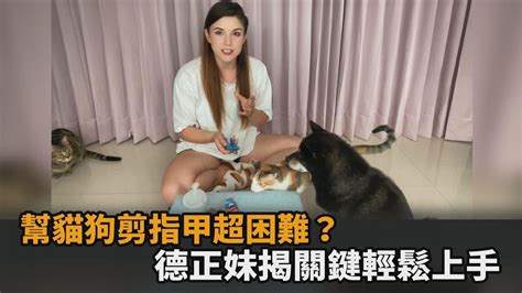 幫毛小孩剪指甲超困難？德正妹訓犬師揭1關鍵：記得唸口訣－民視新聞 Youtube