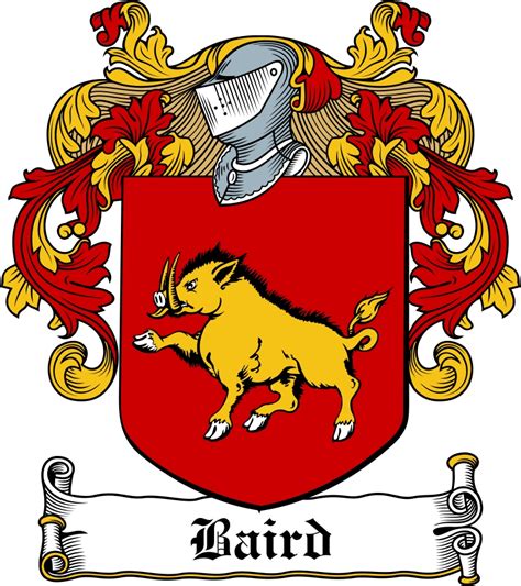 Baird Family Crest / Irish Coat of Arms Image Download - Tradebit