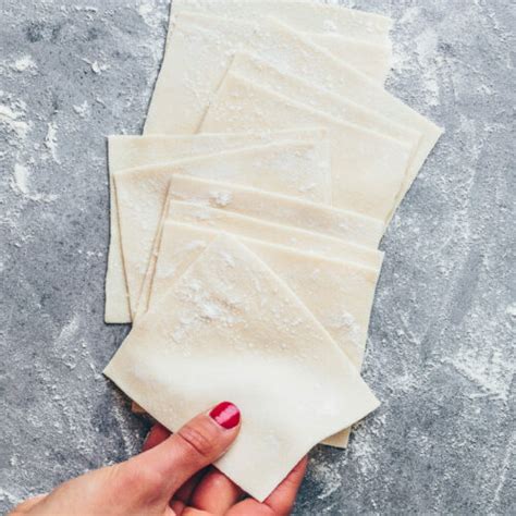 Homemade Wonton Wrapper Recipe