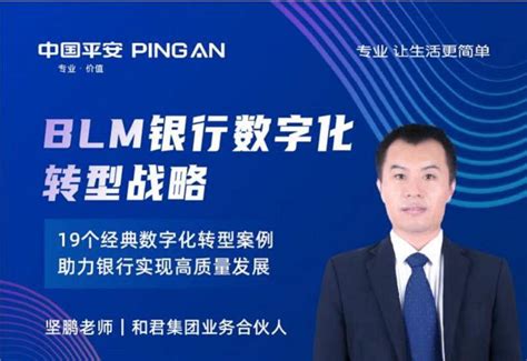 坚鹏：blm银行数字化转型战略 发刊词财经互联网金融好看视频