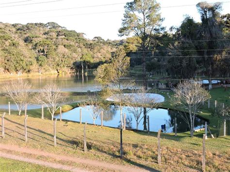 Conhe A Tr S Op Es De Pesque Pague Perto De Curitiba