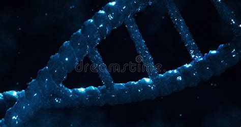 Image Of Dna Strand Over Light Spots On Black Background Stock