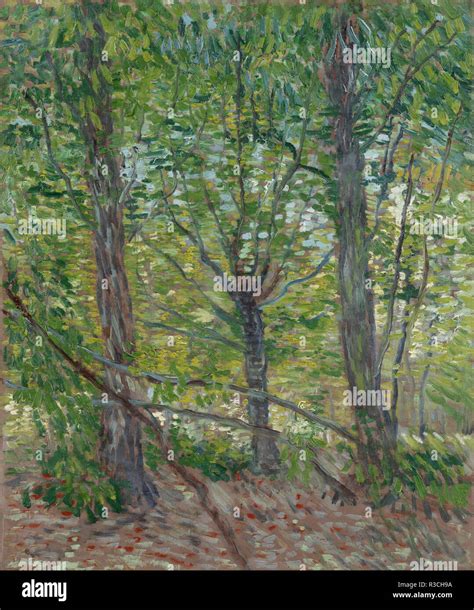 Arte Pittura Vincent Van Gogh Alberi Sottobosco Van Gogh Museum