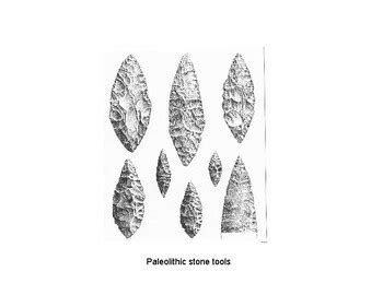 Neolithic Revolution by Strategic Study Skills | TPT