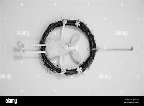 Rebbit Black and White Stock Photos & Images - Alamy