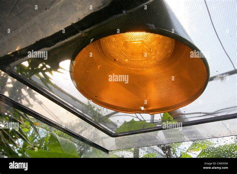 terraruim lamp behind a grid Stock Photo - Alamy
