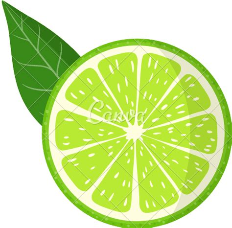 Lime Citrus Fruit 素材 Canva可画