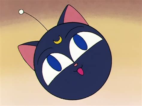 Luna-P | Sailor Moon Dub Wiki | Fandom