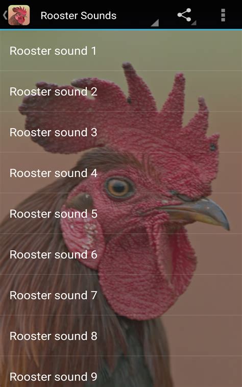 Rooster Sounds: Amazon.co.uk: Appstore for Android