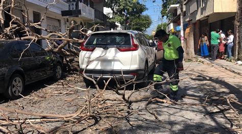 Estragos Por Fuertes Vientos En El Istmo El Imparcial De Oaxaca