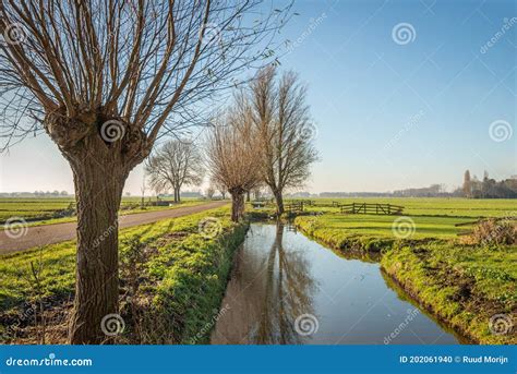 Landscape Characteristic Of The Dutch Region Alblasserwaard Stock Photo