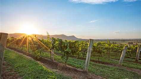 Hunter Valley Wine Region Journey Beyond Rail Expeditions