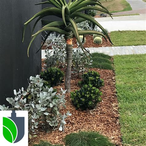 Best Garden Mulch To Use How To Pick The Best Mulch For Your