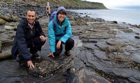 Stegosaurus Shock World’s Oldest Collection Of Dinosaur’s Footprints Discovered On Skye