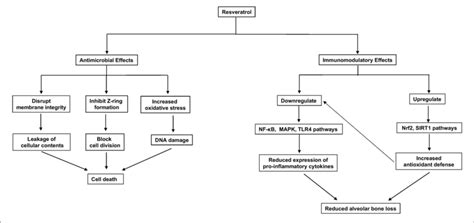 Proposed Antimicrobial And Immune Modulatory Mechanism Of Resveratrol