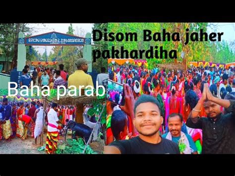 Disom Baha Jaher Pakhardiha New Santali Video New Vlog Video Youtube