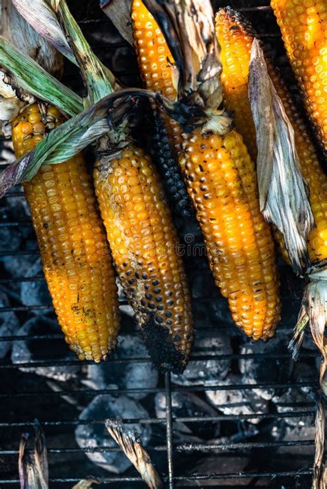 Whole Corn Cobs Roasted On Hot Coal Stock Image Image Of Healthy Grill 256204525