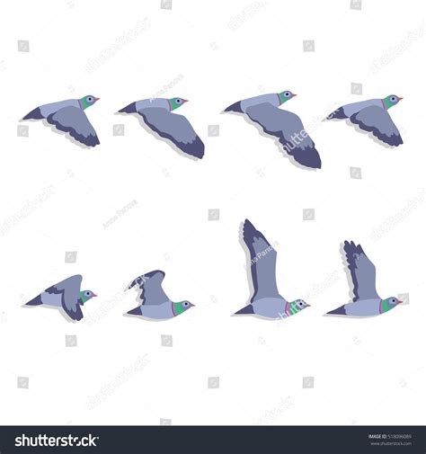 Cartoon Pigeons Flying