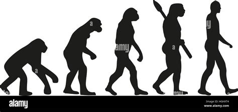 Darwin Evolution Des Menschen Stockfotografie Alamy