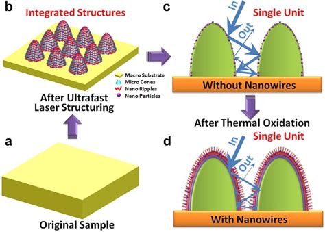 Ultrafast Laser Hybrid Fabricating Of Macro Micro Nano Nanowire Multi