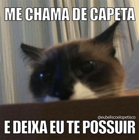 Pin De Vanessa C Em Meme Capeta