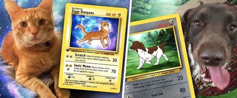 Turn Your Adorable Furry Friend Into a Custom Pokémon Card - Geeky