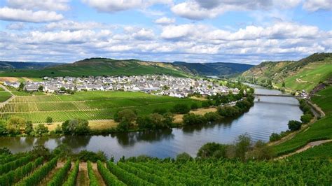 Mosel Wine Region Germany Mosel Valley Wine Mosel Wine Tours