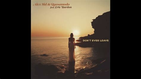 Alex Sid Don T Ever Leave Lyrics Genius Lyrics