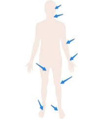 Pulse Point Diagram Diagram Quizlet