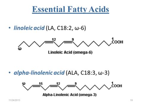 Biochemistry Lipid And Amino Acid Metabolism Flashcards Quizlet