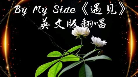 英文版翻唱By My Side 音乐 流行音乐 好看视频