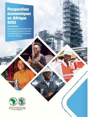 Perspectives Conomiques En Afrique Pea Abamako Documents