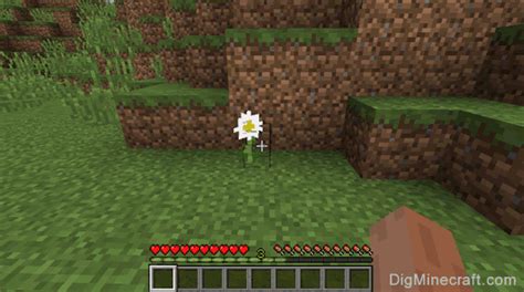 How to make an Oxeye Daisy in Minecraft