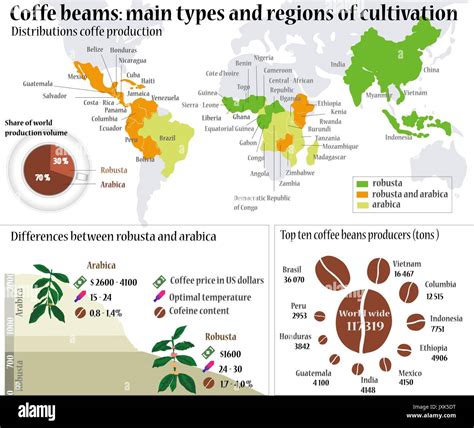 Coffee info. Coffee beans: Main types and region of cultivation Stock ...