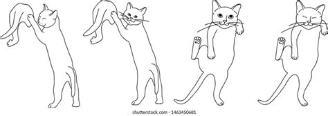 Vector Drawing Cats Different Poses Stock Vector Royalty Free 1463450681