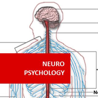 Neuropsychology Course Online Medical Science Accph Adl