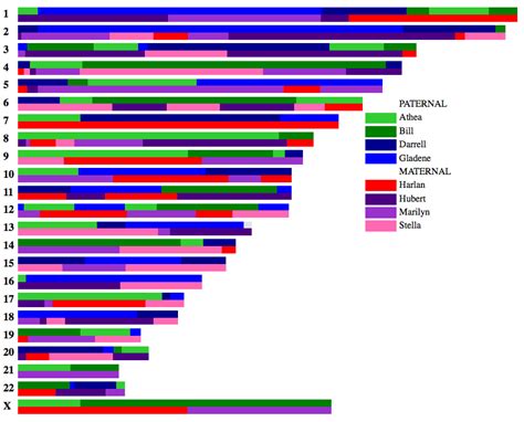 DNA Testing Basics