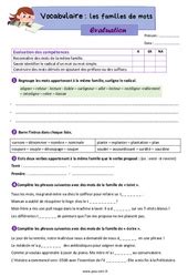 Evaluation Familles De Mots Cm Bilan Et Controle Corrig Pdf