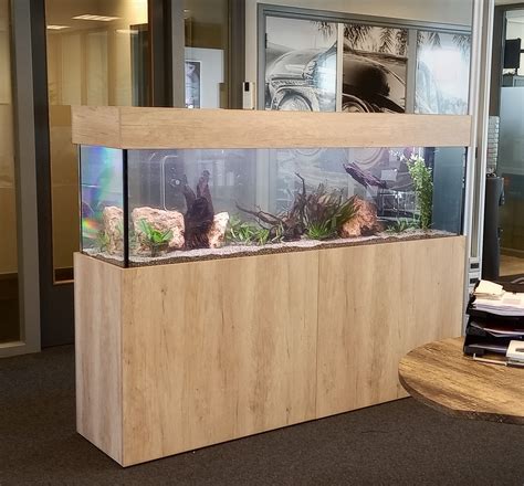 The Real Numbers: Uncovering Aquaria's 2020 Net Worth