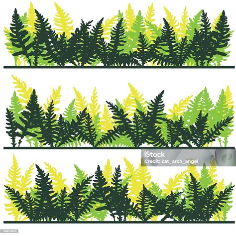 Set Of Ink Drawing Fern Leaves Stock Illustration - Download Image Now ...