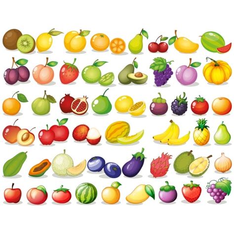 Colección De Frutas A Color Vector Premium