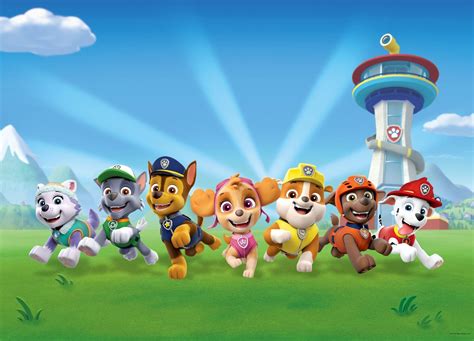 Paw Patrol Verde E Blu 252 X 182 M Sanders And Sanders Leroy Merlin