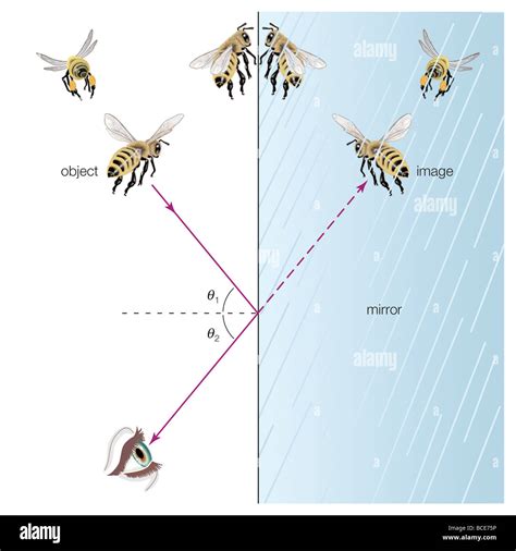 Law of reflection diagram hi-res stock photography and images - Alamy