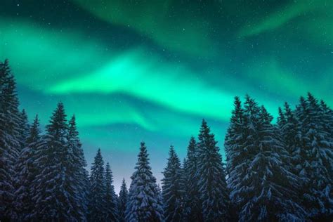 Fairbanks Aurora Borealis Tour - Chase the Northern Lights