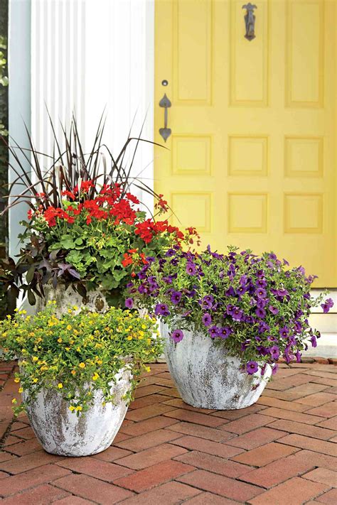 Cold Hardy Drought Tolerant Plants Survive Any Climate With These Top