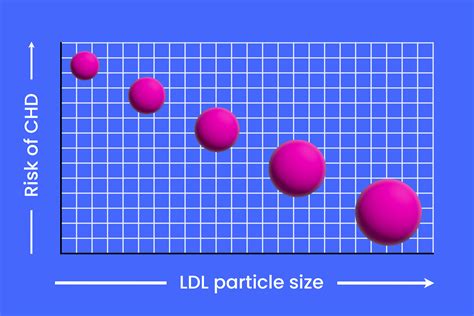 Why Cholesterol Particle Size Matters