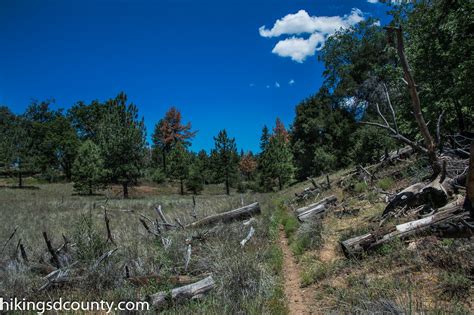 Laguna to Cuyamaca - Hiking San Diego County