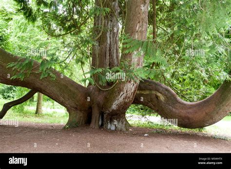 Alaskische Reisen Fotos Und Bildmaterial In Hoher Aufl Sung Alamy