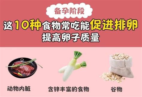 备孕阶段，这10种食物常吃能促进排卵、提高几率！ 知乎