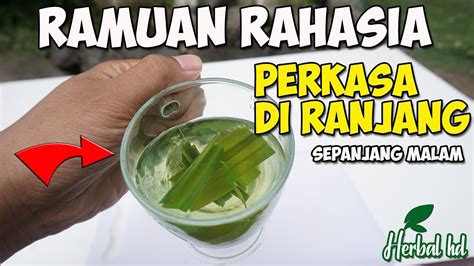 Lemah Syahw T Coba Minum Ini Rebusan Air Daun Pandan Youtube